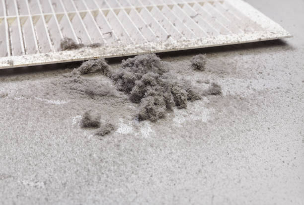 Best Duct Cleaning for Homes  in Buffalo, TX