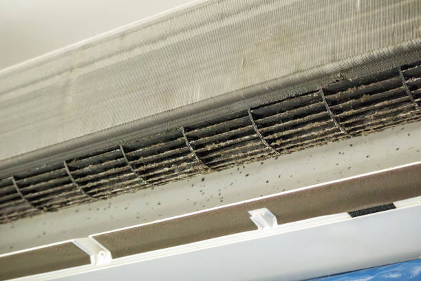 Best Affordable HVAC Duct Cleaning  in Buffalo, TX